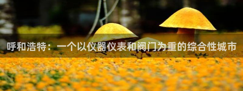 顺盈娱乐代理怎么样了