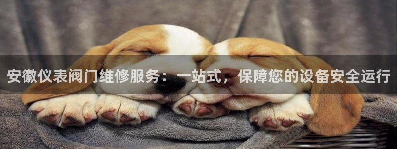 顺盈娱乐平台下载安装