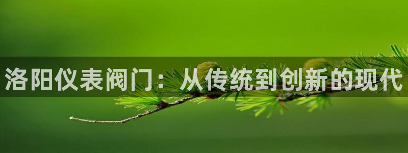 顺盈娱乐计究7276O