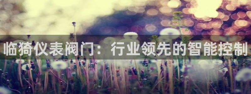顺盈娱乐总代理是谁