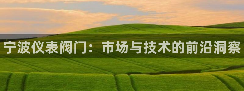顺盈娱乐棋牌怎么样啊