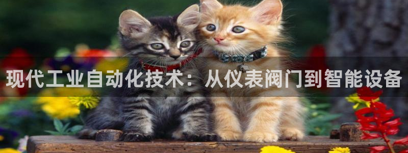 顺盈2娱乐找qv382223