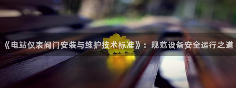 顺盈娱乐28是什么意思