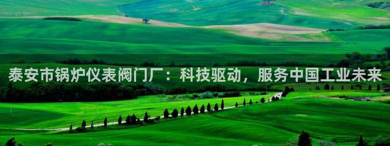 顺盈娱乐行求威判官333OO