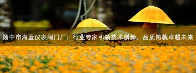 顺盈娱乐代理怎么样了啊