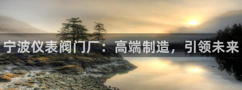 顺盈娱乐网址