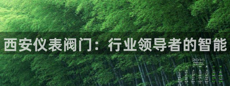 顺盈娱乐注册求判官333OO