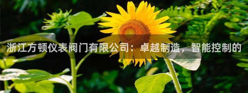 清远顺盈娱乐有限公司