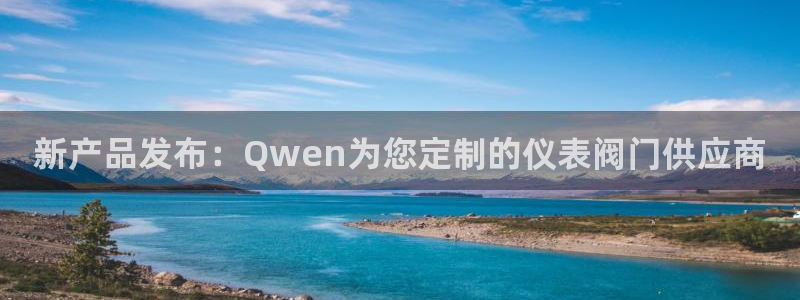 顺盈娱乐最高代理人名单