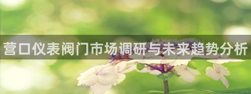 顺盈2娱乐主管