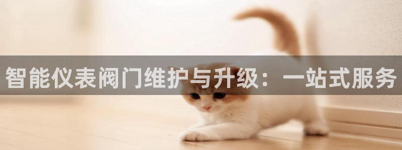 顺盈2娱乐在线教育