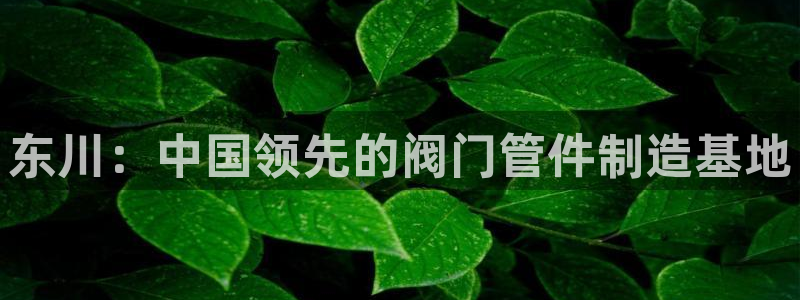 顺盈娱乐主管审判官333OO