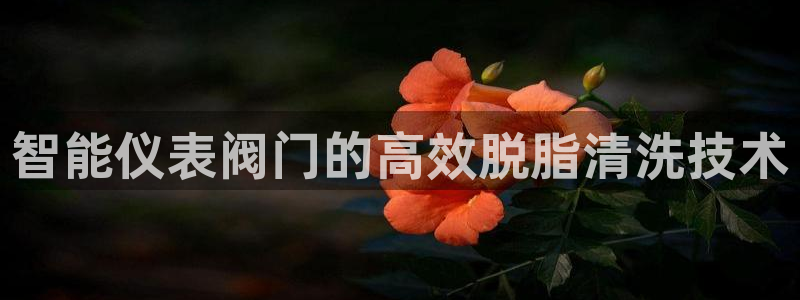 清远顺盈娱乐集团怎么样