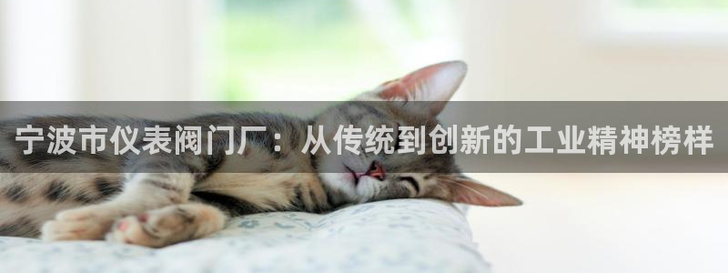 顺盈娱乐怎么样