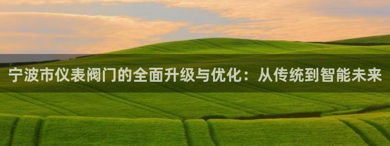 顺盈娱乐最高代理人