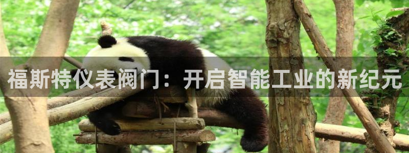 顺盈娱乐下载安装
