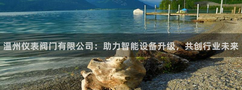 顺盈娱乐形究7276O