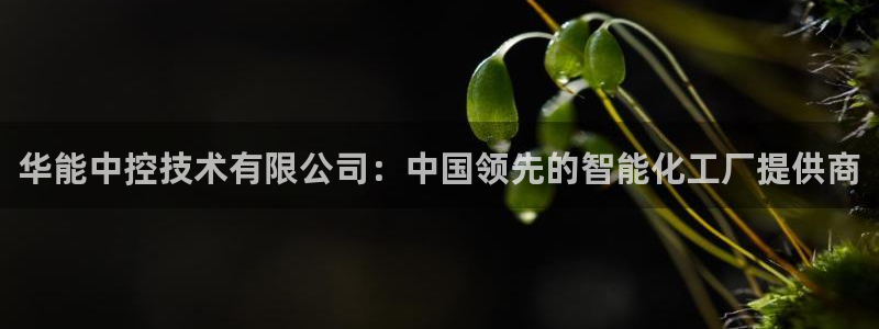 顺盈娱乐保究7276O