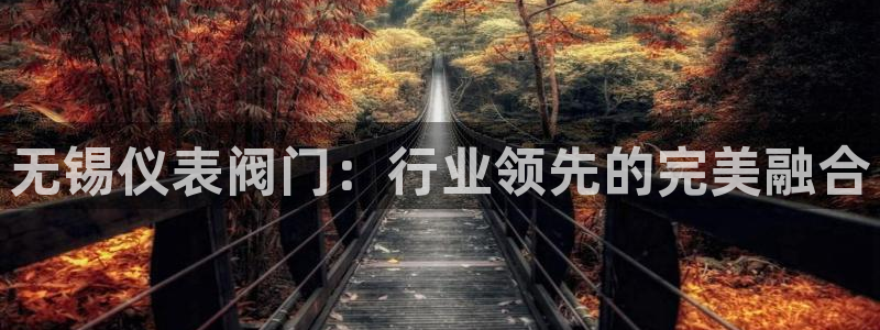 清远顺盈娱乐城