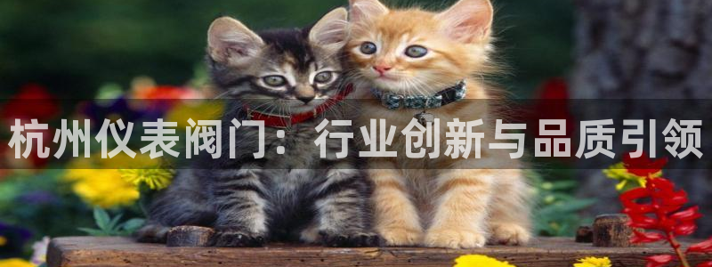 顺盈娱乐主管监判官333OO