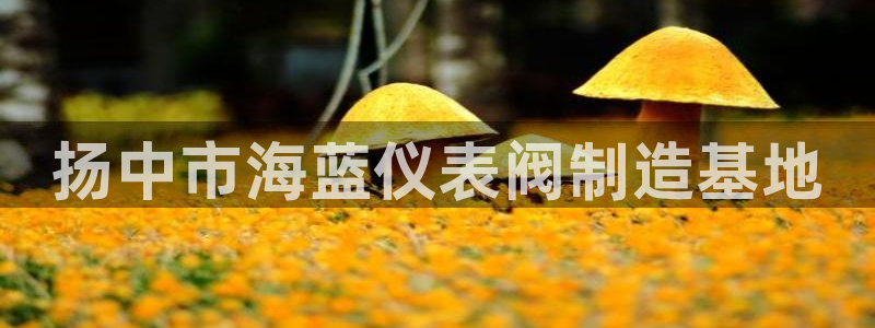 清远顺盈娱乐公司电话