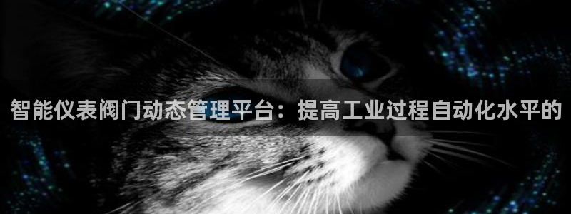 顺盈娱乐在线注册账号