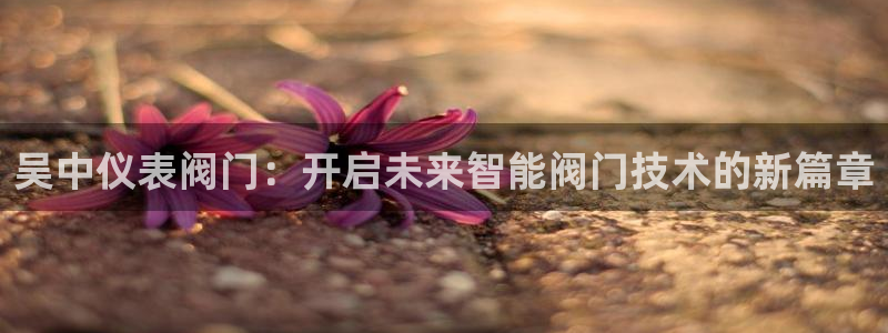 顺盈娱乐在线教育