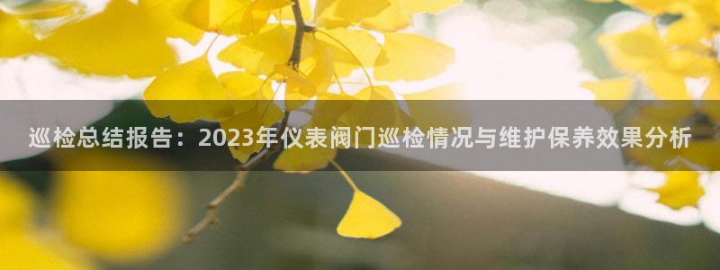 顺盈娱乐棋牌官网地址