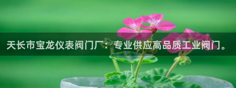 清远顺盈娱乐集团工作