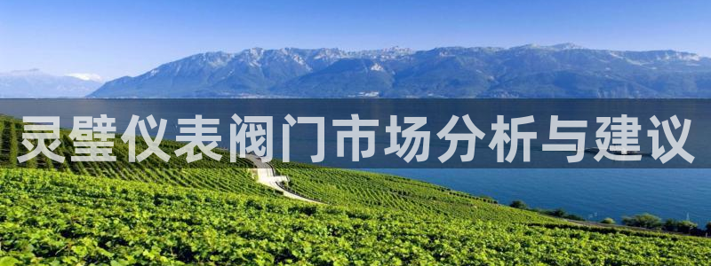 顺盈娱乐28是什么意思