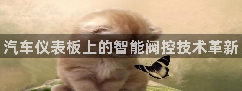 顺盈娱乐主管怎么样知乎