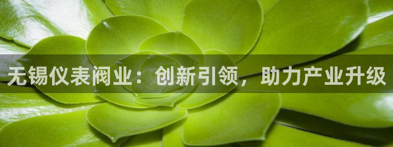 顺盈娱乐在线注册地址