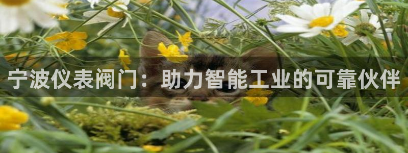 清远顺盈娱乐集团工作