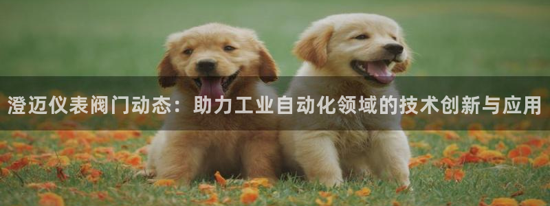 顺盈娱乐指究7276O