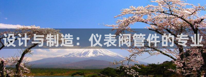 顺盈娱乐形究7276O