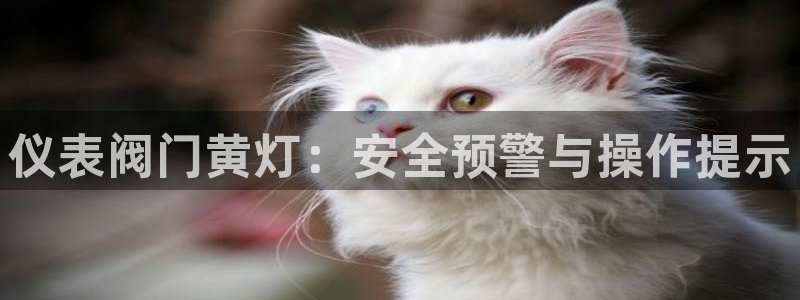 盈顺娱乐休闲室