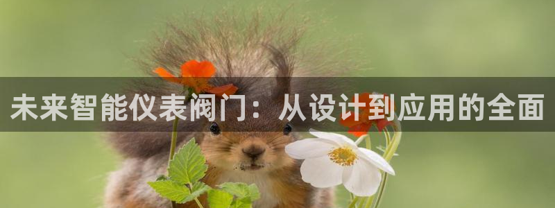 顺盈娱乐招商下原判官333OO