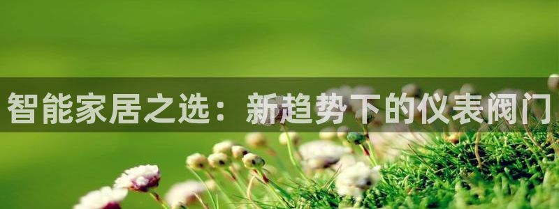 盈顺休闲娱乐室地址