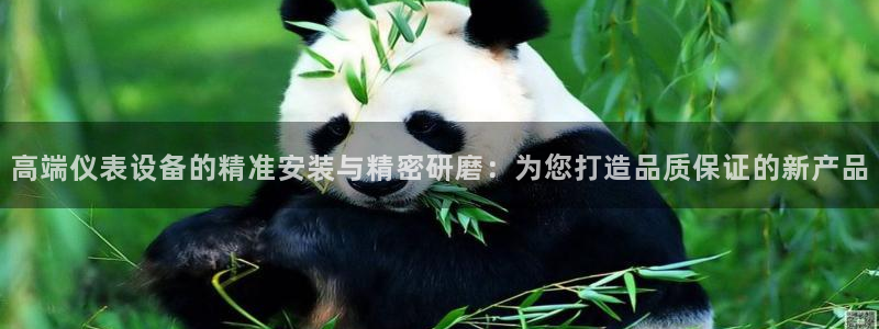 顺盈娱乐代理怎么样做