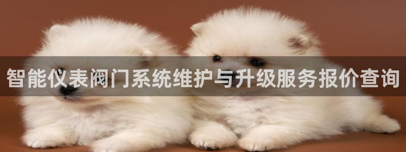 顺盈娱乐注册口究333OO