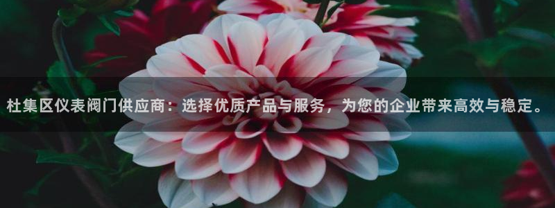 顺盈娱乐登录地址查询