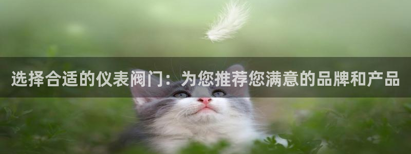 顺盈娱乐保究7276O