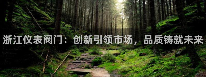 顺盈娱乐主管经判官333OO