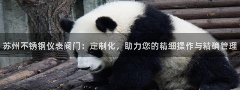 顺盈2娱乐游戏开发商