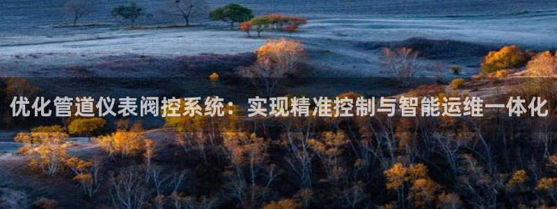 顺盈娱乐登录地址在哪