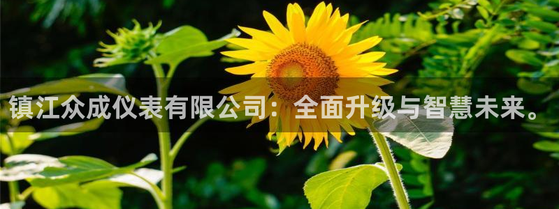 顺盈娱乐痛333OO