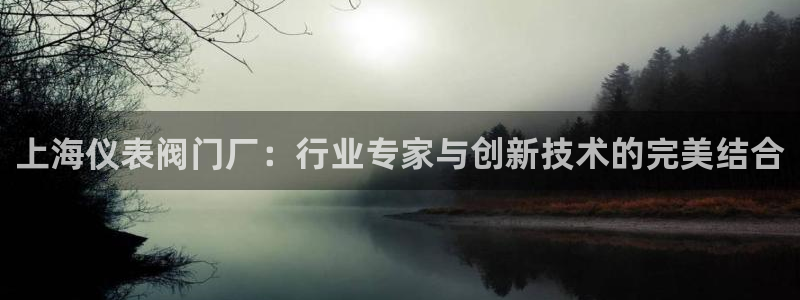 顺盈娱乐公司介绍
