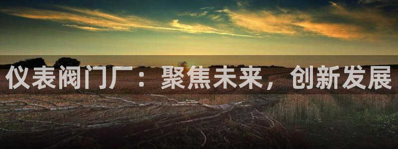 顺盈娱乐28是什么?