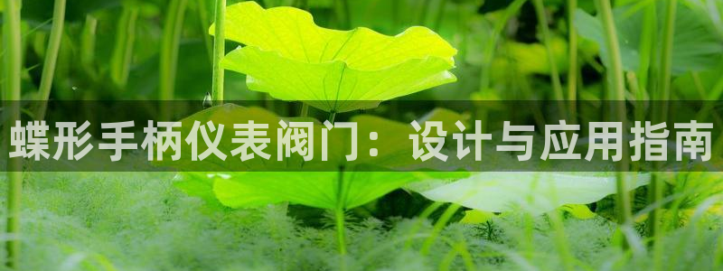 顺盈娱乐平台下载安装