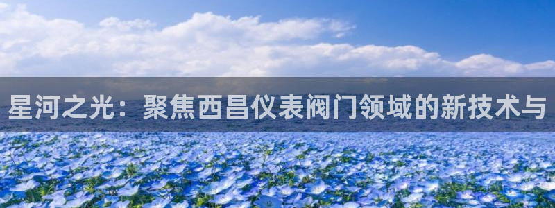 顺盈娱乐场究7276O